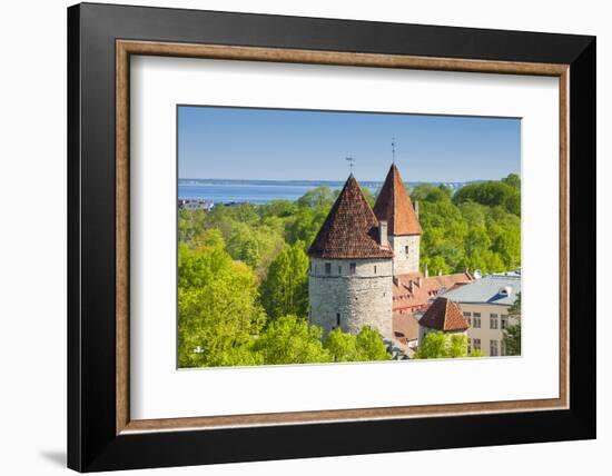 View of Tallinn from Toompea Hill, Old Town of Tallinn, Estonia, Baltic States-Nico Tondini-Framed Photographic Print