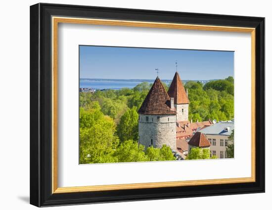 View of Tallinn from Toompea Hill, Old Town of Tallinn, Estonia, Baltic States-Nico Tondini-Framed Photographic Print