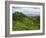 View of Tea Plantations from Lipton's Seat, Haputale, Sri Lanka, Asia-Jochen Schlenker-Framed Photographic Print