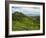 View of Tea Plantations from Lipton's Seat, Haputale, Sri Lanka, Asia-Jochen Schlenker-Framed Photographic Print