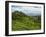 View of Tea Plantations from Lipton's Seat, Haputale, Sri Lanka, Asia-Jochen Schlenker-Framed Photographic Print