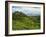 View of Tea Plantations from Lipton's Seat, Haputale, Sri Lanka, Asia-Jochen Schlenker-Framed Photographic Print