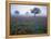 View of Texas Paintbrush and Bluebonnets Flowers at Dawn, Hill Country, Texas, USA-Adam Jones-Framed Premier Image Canvas