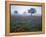 View of Texas Paintbrush and Bluebonnets Flowers at Dawn, Hill Country, Texas, USA-Adam Jones-Framed Premier Image Canvas