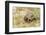 View of Texas Tortoise-Gary Carter-Framed Photographic Print