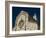 View of the 13th Century Duomo, Sasso Barisano, Basilicata, Matera, Italy-Walter Bibikow-Framed Photographic Print