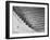 View of the 90 Meter Ski Jump During the 1972 Olympics-John Dominis-Framed Premium Photographic Print
