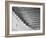 View of the 90 Meter Ski Jump During the 1972 Olympics-John Dominis-Framed Photographic Print