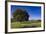 View of the Aiguilles De Bavella, Quenza, Corsica, France-Walter Bibikow-Framed Photographic Print