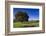 View of the Aiguilles De Bavella, Quenza, Corsica, France-Walter Bibikow-Framed Photographic Print