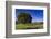 View of the Aiguilles De Bavella, Quenza, Corsica, France-Walter Bibikow-Framed Photographic Print