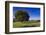 View of the Aiguilles De Bavella, Quenza, Corsica, France-Walter Bibikow-Framed Photographic Print