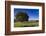 View of the Aiguilles De Bavella, Quenza, Corsica, France-Walter Bibikow-Framed Photographic Print