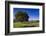 View of the Aiguilles De Bavella, Quenza, Corsica, France-Walter Bibikow-Framed Photographic Print