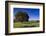 View of the Aiguilles De Bavella, Quenza, Corsica, France-Walter Bibikow-Framed Photographic Print