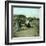 View of the Beach, Le Pouliguen (Loire-Atlantique, France), around 1900-Leon, Levy et Fils-Framed Photographic Print