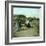 View of the Beach, Le Pouliguen (Loire-Atlantique, France), around 1900-Leon, Levy et Fils-Framed Photographic Print