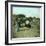 View of the Beach, Le Pouliguen (Loire-Atlantique, France), around 1900-Leon, Levy et Fils-Framed Photographic Print