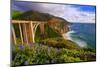 View Of The BIXby Creek Bridge, Big Sur, Ca-George Oze-Mounted Photographic Print