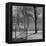 View of the Boston Commons-Walter Sanders-Framed Premier Image Canvas