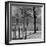 View of the Boston Commons-Walter Sanders-Framed Photographic Print