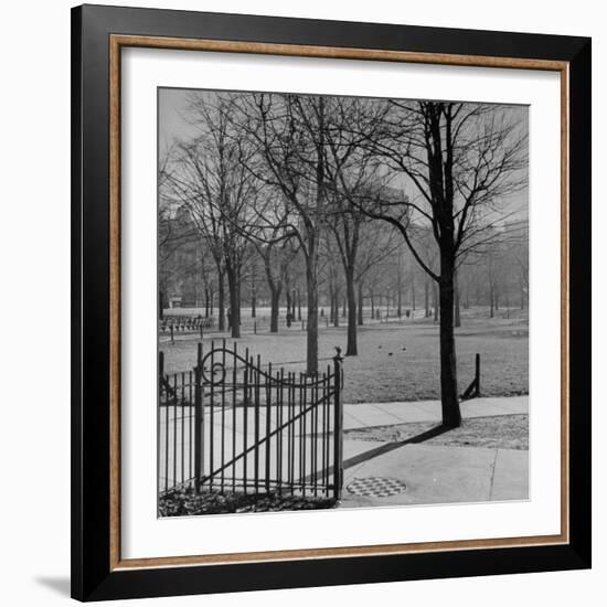 View of the Boston Commons-Walter Sanders-Framed Photographic Print