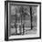 View of the Boston Commons-Walter Sanders-Framed Photographic Print