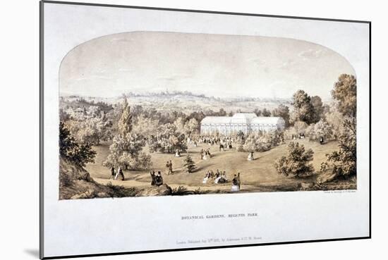 View of the Botanical Gardens in Regents Park, Marylebone, London, 1851-null-Mounted Giclee Print