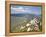 View of the Cathar Castle of Peyrepertuse in Languedoc-Roussillon, France, Europe-David Clapp-Framed Premier Image Canvas