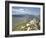 View of the Cathar Castle of Peyrepertuse in Languedoc-Roussillon, France, Europe-David Clapp-Framed Photographic Print