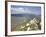 View of the Cathar Castle of Peyrepertuse in Languedoc-Roussillon, France, Europe-David Clapp-Framed Photographic Print