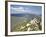 View of the Cathar Castle of Peyrepertuse in Languedoc-Roussillon, France, Europe-David Clapp-Framed Photographic Print