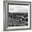 View of the Countryside in Deeside. 28/08/1959-Staff-Framed Photographic Print