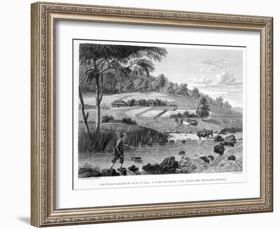 View of the Cox River, West of the Blue Mountains Book Illustration-null-Framed Giclee Print