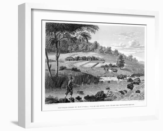 View of the Cox River, West of the Blue Mountains Book Illustration-null-Framed Giclee Print