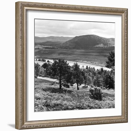 View of the Deeside Country, Aberdeenshire. 28/08/1959-Staff-Framed Photographic Print