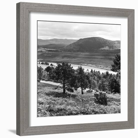 View of the Deeside Country, Aberdeenshire. 28/08/1959-Staff-Framed Photographic Print