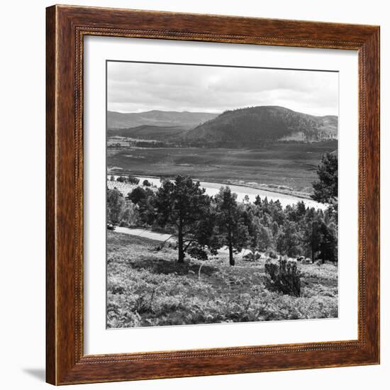 View of the Deeside Country, Aberdeenshire. 28/08/1959-Staff-Framed Photographic Print