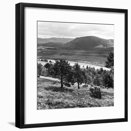 View of the Deeside Country, Aberdeenshire. 28/08/1959-Staff-Framed Photographic Print