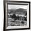 View of the Deeside Country, Aberdeenshire. 28/08/1959-Staff-Framed Photographic Print