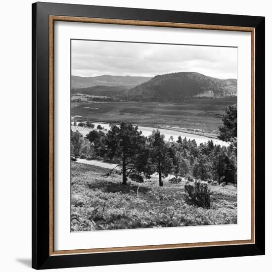 View of the Deeside Country, Aberdeenshire. 28/08/1959-Staff-Framed Photographic Print