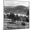 View of the Deeside Country, Aberdeenshire. 28/08/1959-Staff-Mounted Photographic Print
