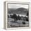 View of the Deeside Country, Aberdeenshire. 28/08/1959-Staff-Framed Premier Image Canvas