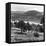 View of the Deeside Country, Aberdeenshire. 28/08/1959-Staff-Framed Premier Image Canvas