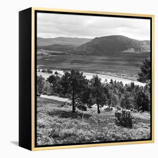 View of the Deeside Country, Aberdeenshire. 28/08/1959-Staff-Framed Premier Image Canvas