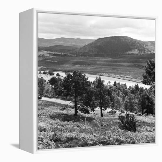 View of the Deeside Country, Aberdeenshire. 28/08/1959-Staff-Framed Premier Image Canvas