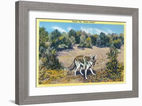 View of the Desert Outlaw, the Coyote-Lantern Press-Framed Art Print