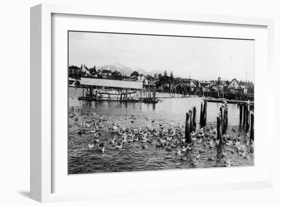 View of the Docks and Harbor - Petersburg, AK-Lantern Press-Framed Art Print