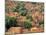 View of the Dogon Village of Songo, Mali-Janis Miglavs-Mounted Photographic Print