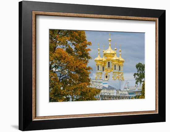 View of the domes of the Chapel of the Catherine Palace, UNESCO World Heritage Site, Pushkin, near-Miles Ertman-Framed Photographic Print